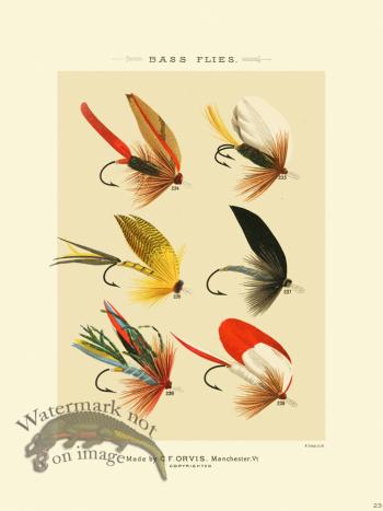 Favorite Flies 23 Bass